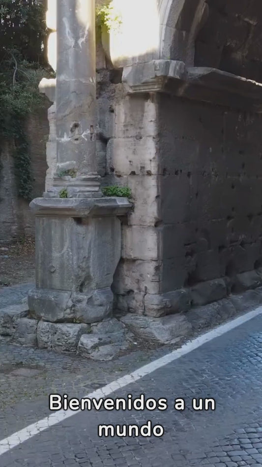 Oferta Por Tiempo Limitado Añadir al carrito de compras y en la sección llamada descripción colocar la marca, el modelo y año del automóvil. Una vez realices el pago, nuestro equipo de ventas se comunicará con el cliente para organizar la entrega