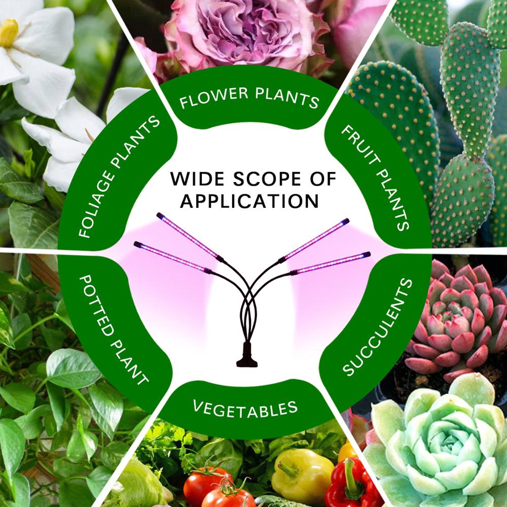 Lámpara hidropónica LED USB DC 5 V